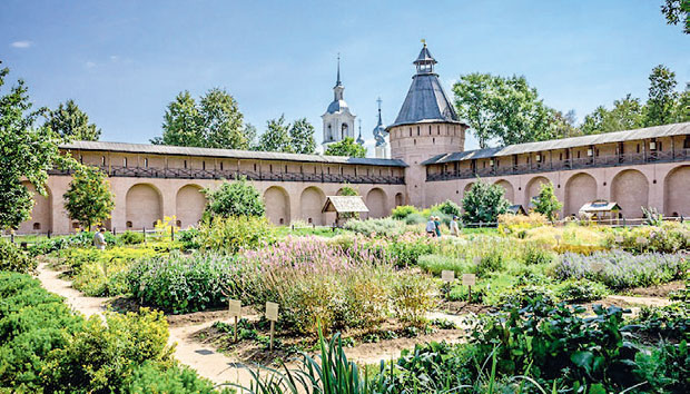 Биљна апотека у вашој башти